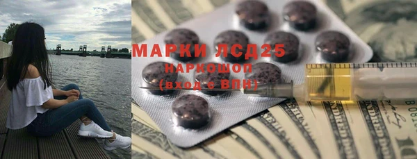 spice Аркадак