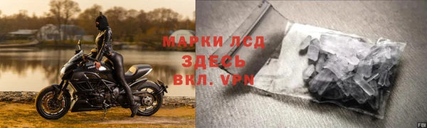 spice Аркадак