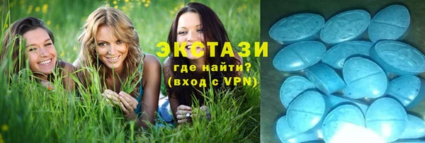 spice Аркадак