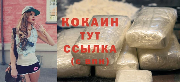 spice Аркадак
